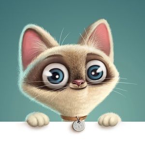 Meet your Posher, Veronica